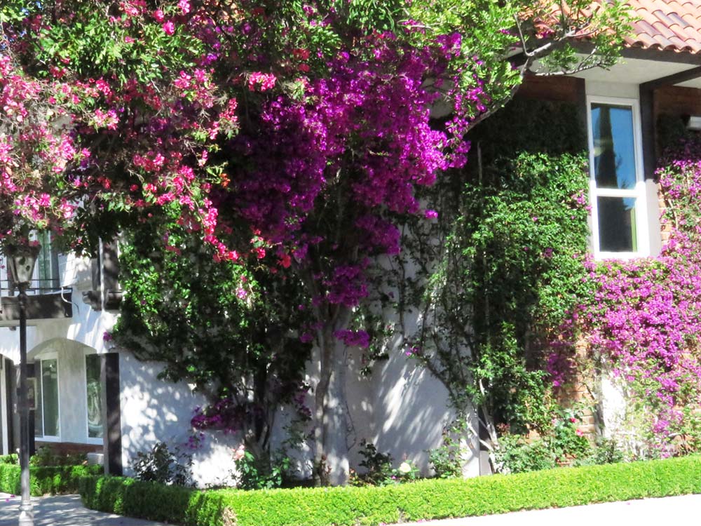 The Hills Hotel Laguna Hills Ca The Hills Hotel Laguna Hills Ca